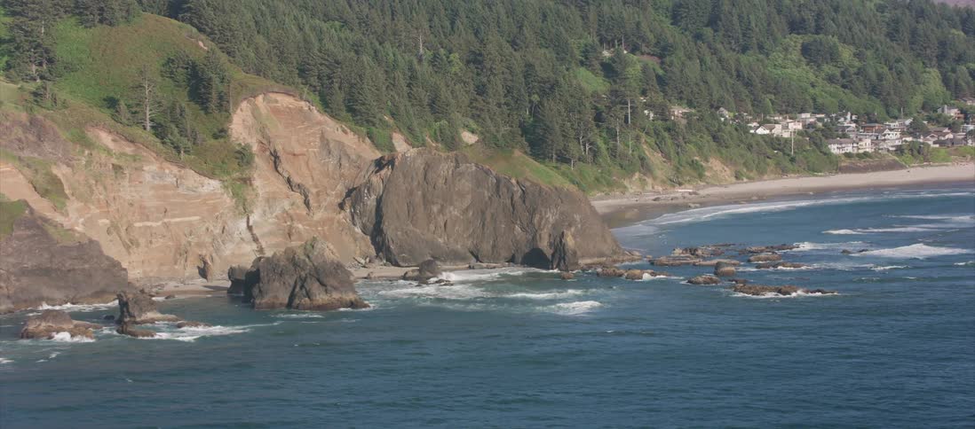 Waves are beating against the rocky shore covered by trees