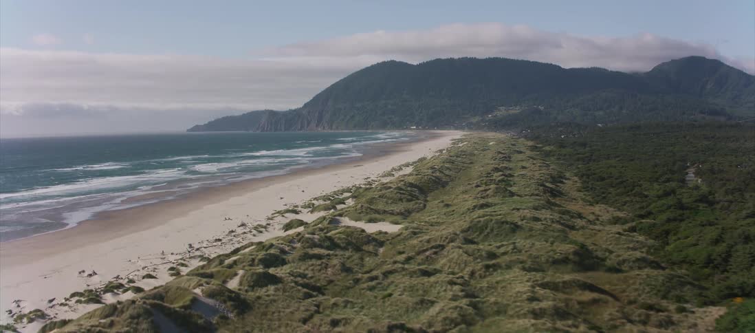 Trees and vegetation cover land next to the beach