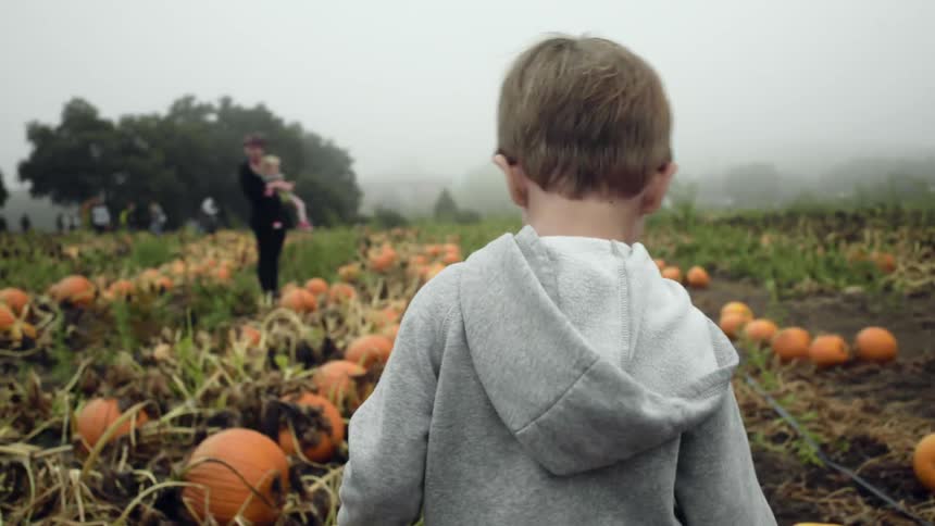 A mother holds her daughter in a pumpkin patch as she stands and waits for her son to catch up with her