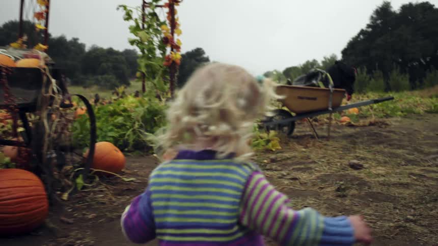 A young girl runs through a pumpkin patch