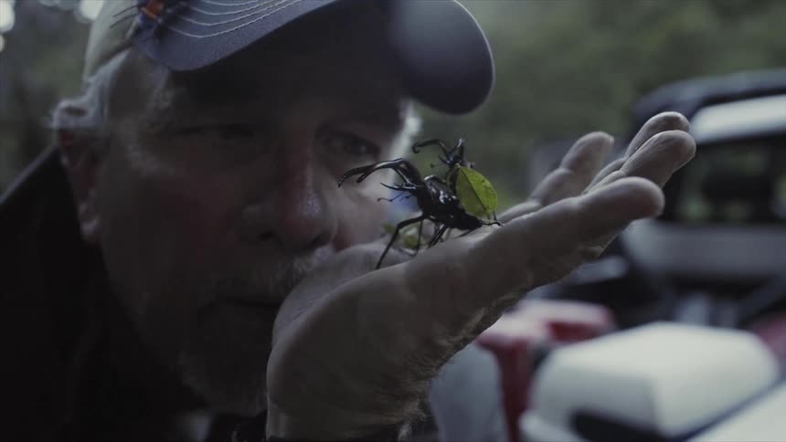 A man holds a scorpion in the palm of his hand