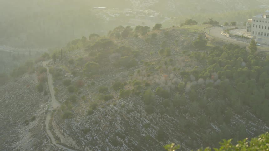 Shrubs and trees are growing off a mountainside with a building in the distance at day