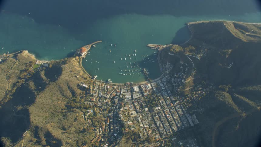 Small town in coastal bay with boats in the daytime (Avalon, Catalina)