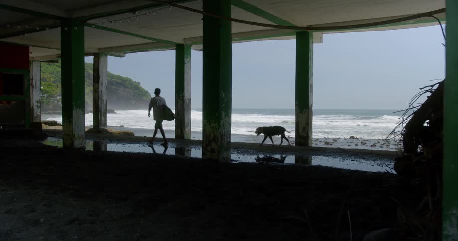 A man carries a surfboard on the beach with his dog following