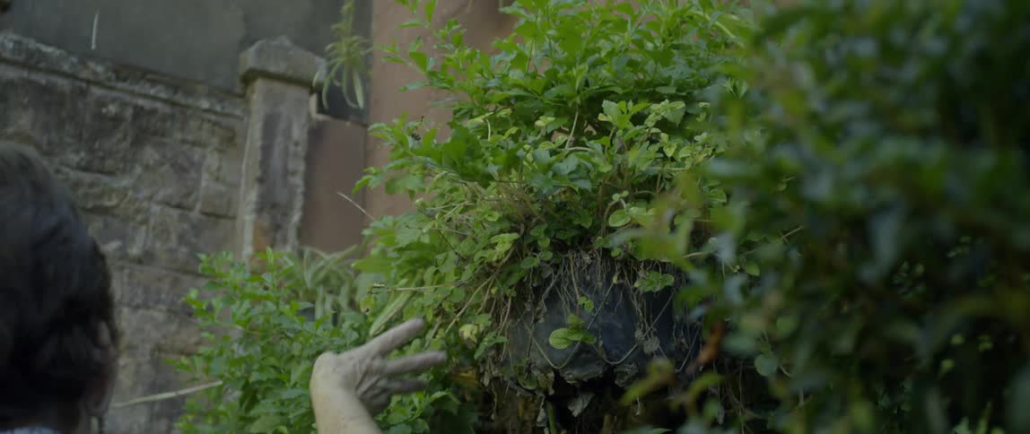 A woman is walking out in a yard touching vines