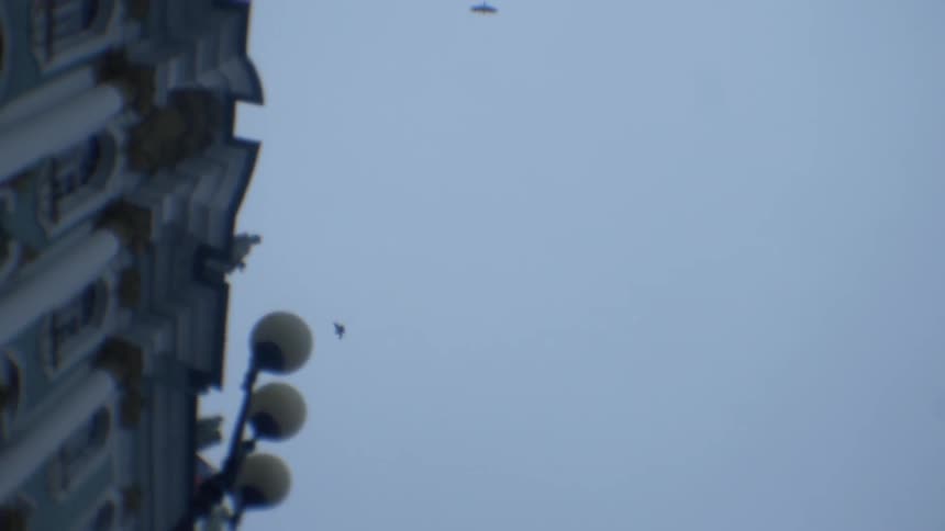 High above in the sky two birds can be see flying over a building with a very elaborate facade which includes ornate window frames and columns