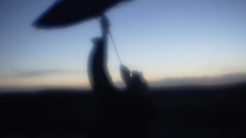 Person swinging around an umbrella