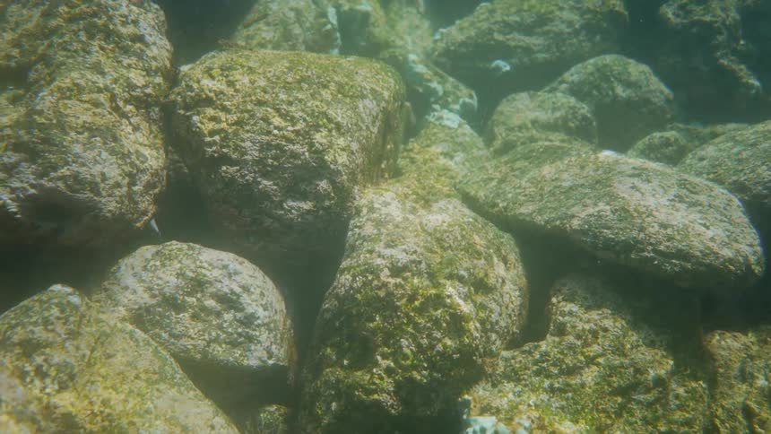 Rock underwater
