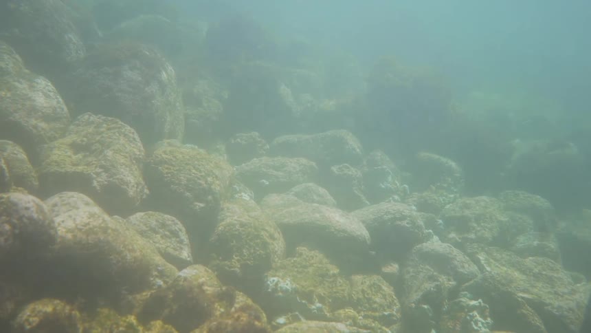 Sunlight shines through the water onto the rocks on the bottom