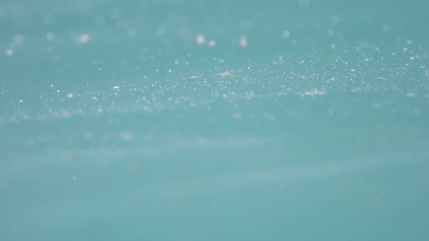 Bits of debris float on light blue water