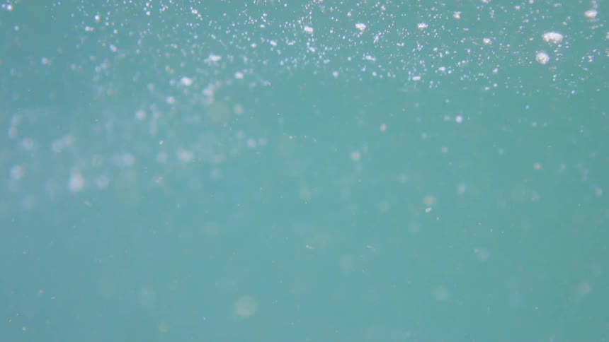 Views of underwater