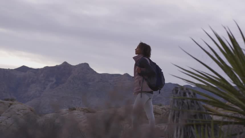 A woman with a backpack is standing on top of a hill and looking towards the sky