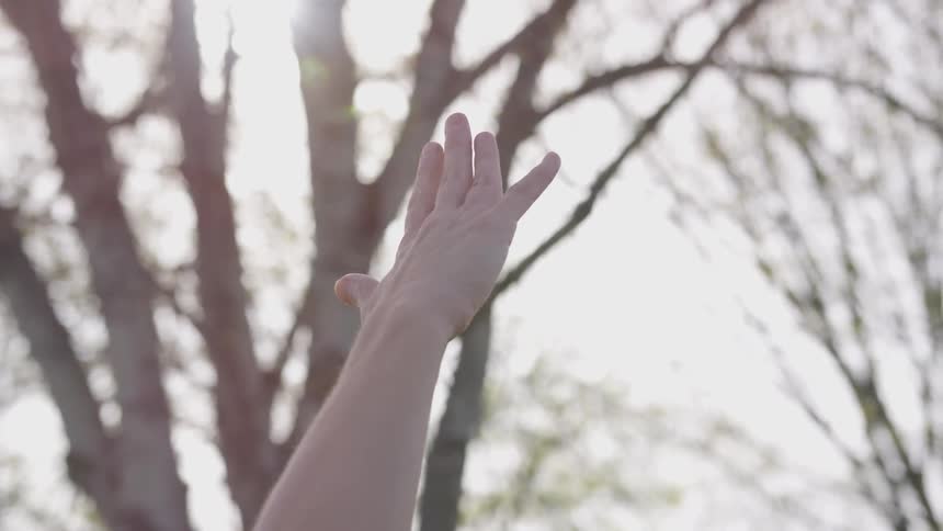 Person reaches up toward the sky outdoors