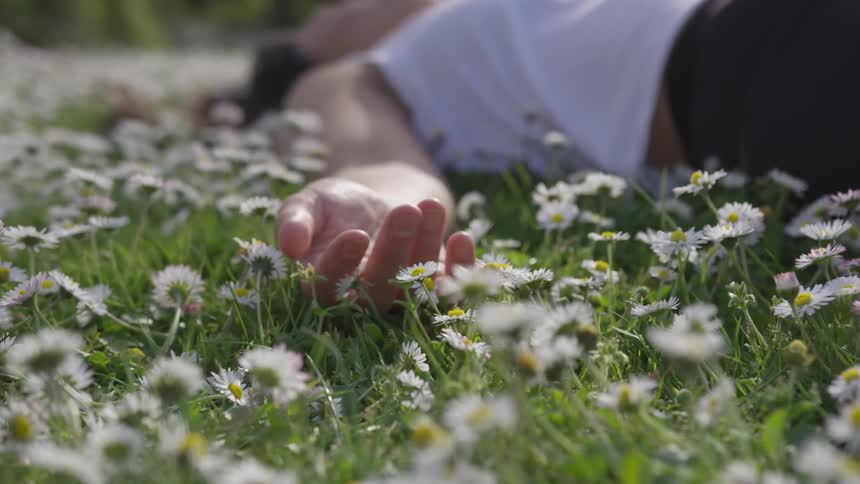 Woman lies down in field covered by daisies