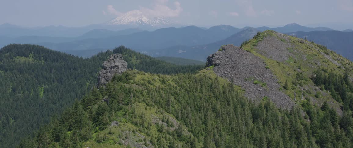 A mountain covered in trees rises into the sky