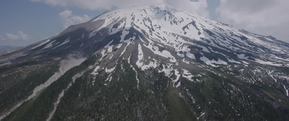 An enormous mountain is coated in snow and it stands majestically above expansive forests