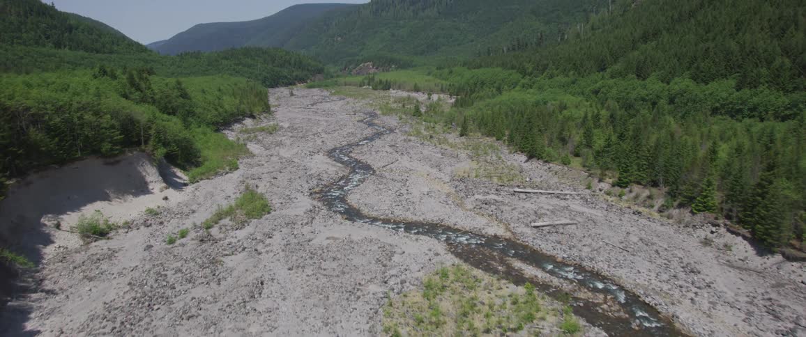 River in the middle of forest and mountains