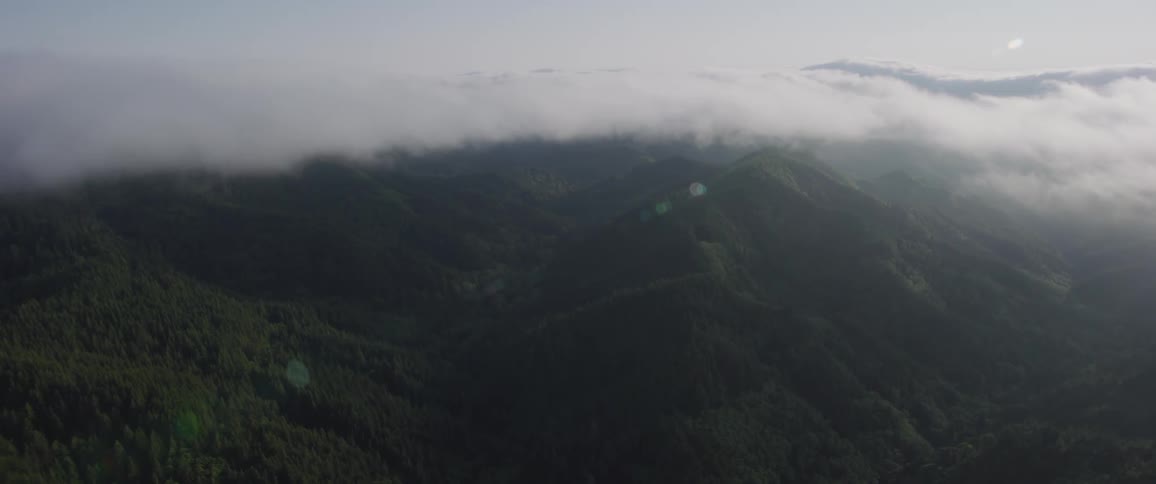 The peaks of a forest covered mountain range break through the clouds