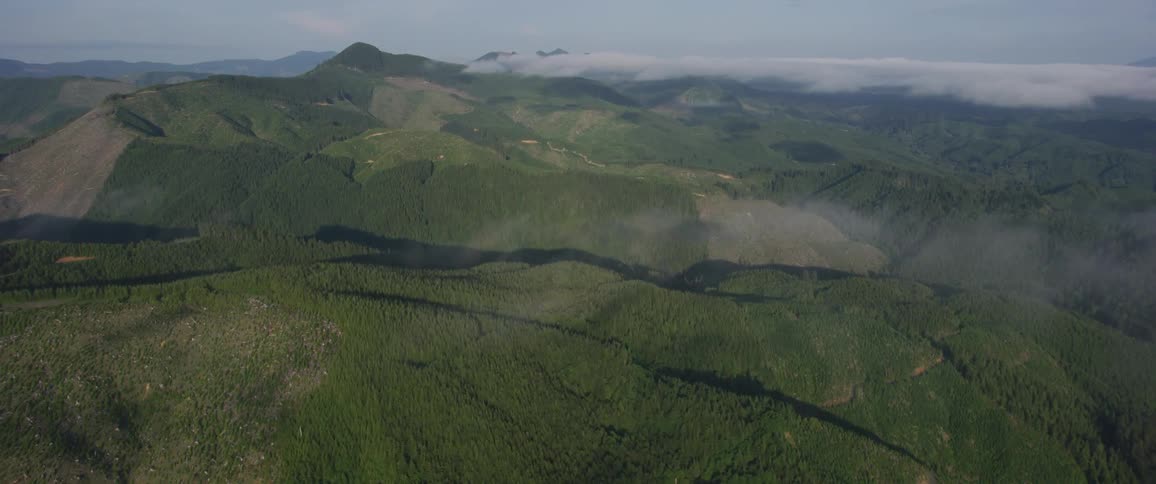 Aerial view of grassy mountains and clouds