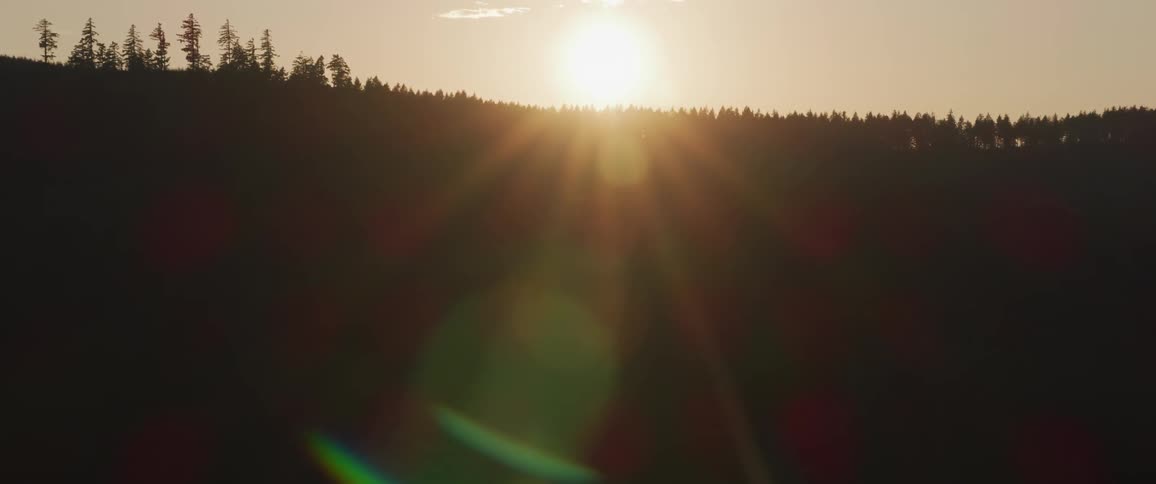 The sun in the horizon over a large forest area
