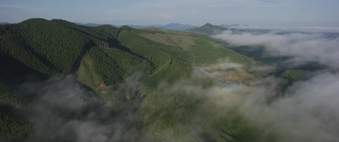 Fog covers green mountains