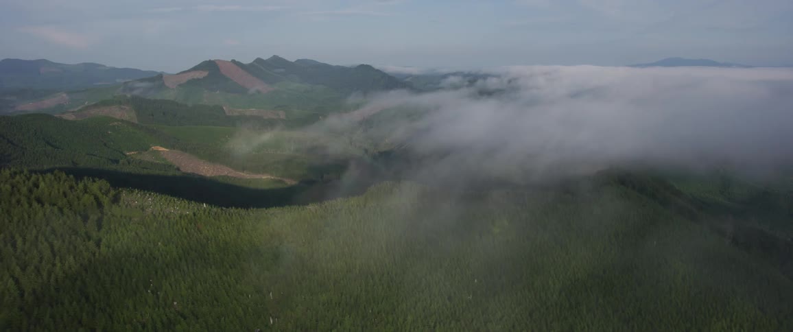 A mountain range covered in forest during the day