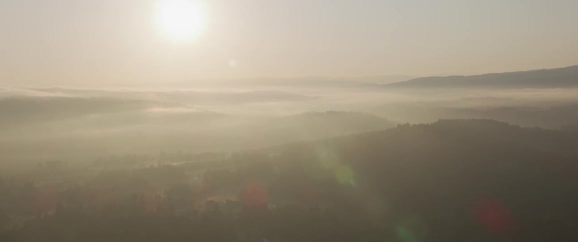 An aerial view of a forest covered in a layer of fog