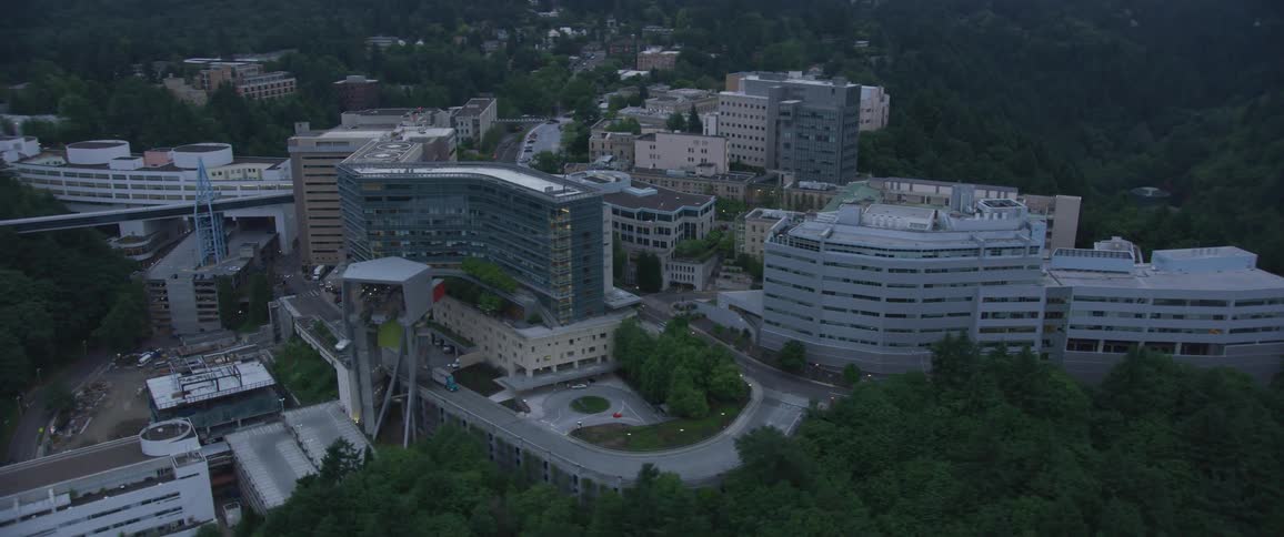 An aerial view of buildings in a wooded area