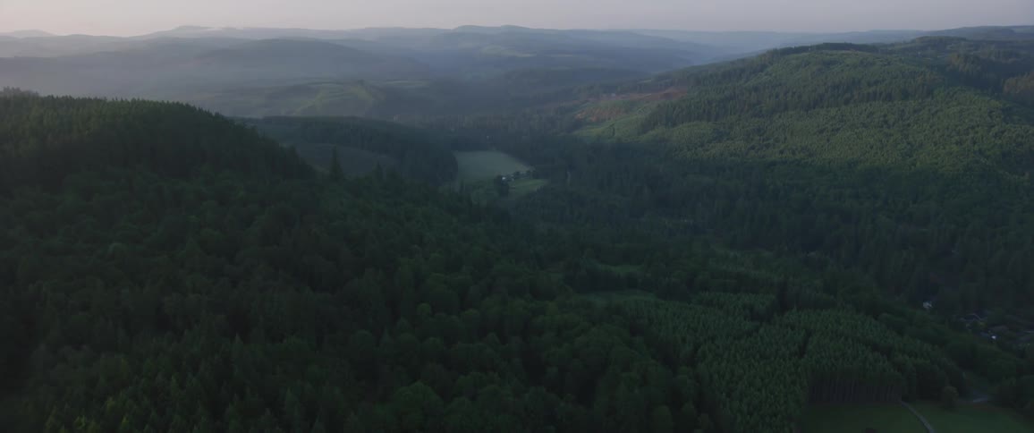 Homes spread out among clearings in forest