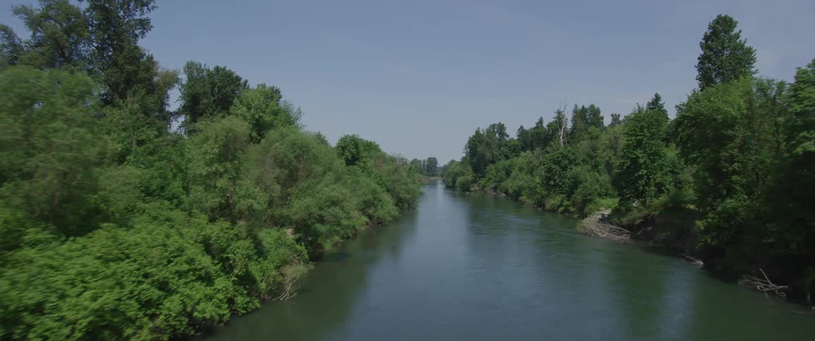 A waterway with a sandbar snakes through a forest