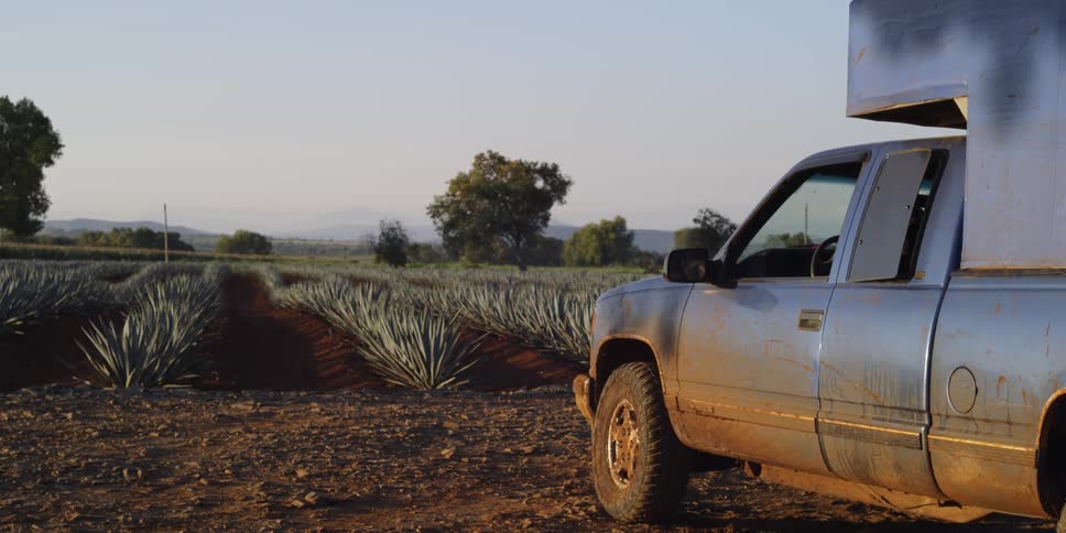 Pickup truck with camper parked near crop field