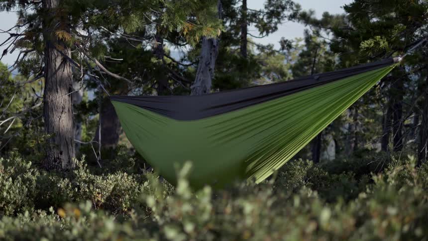 Someone lying in a hammock that is hung between trees in a wooded and brush-filled area