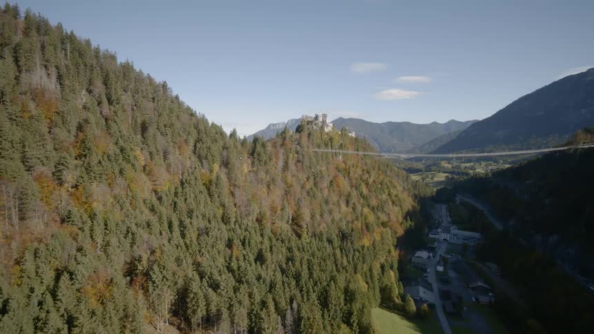 The camera flies over trees looking at a bridge and buildings