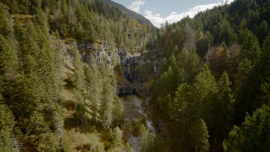 The camera flies over a wooded gully with a river at the bottom