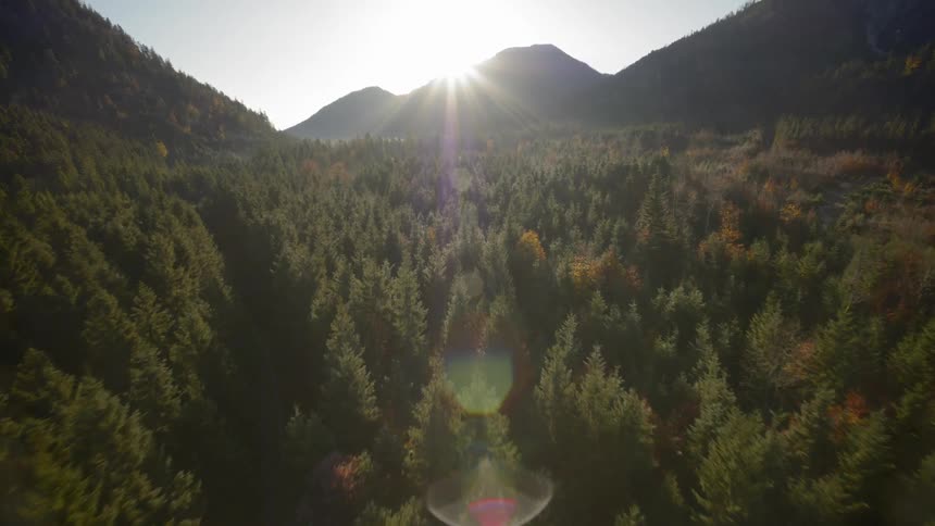 An aerial shot of a forest in a valley surrounded by mountains
