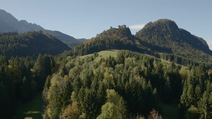 A forest grows on a mountain range