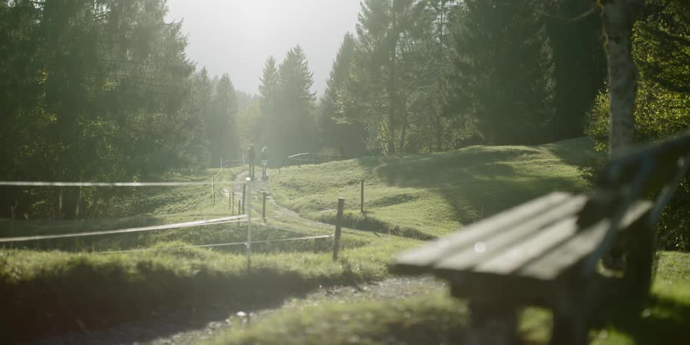 Two people walk down a path in a grassy field