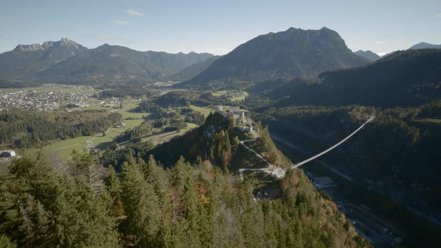 An aerial view of a forest is displayed