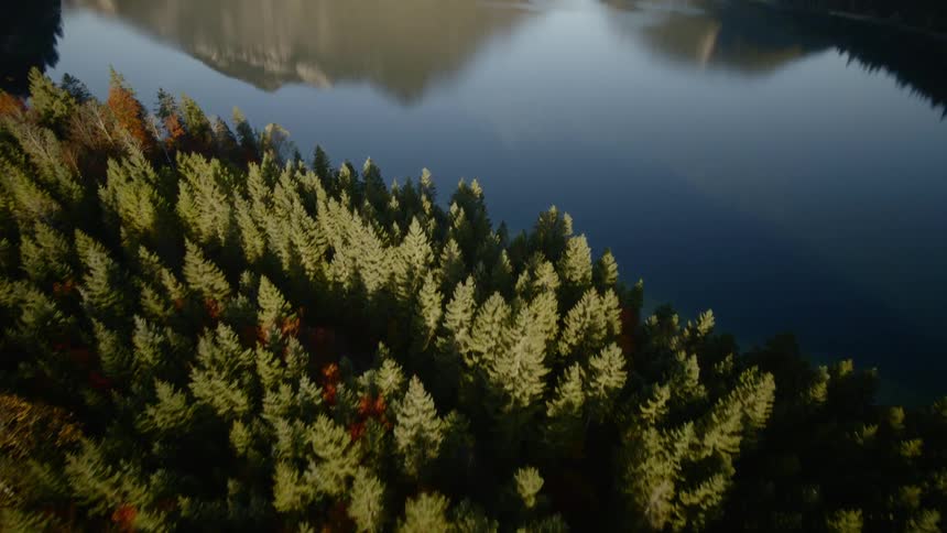 The camera flies over a forest then a lake