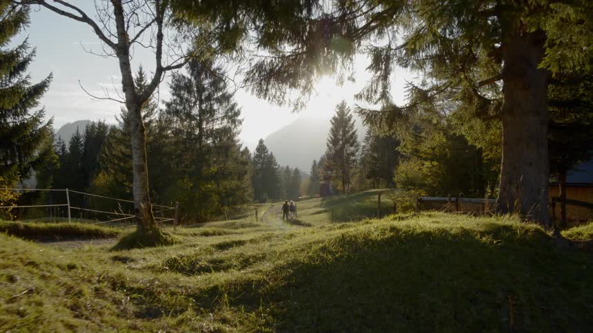 People walk down country road