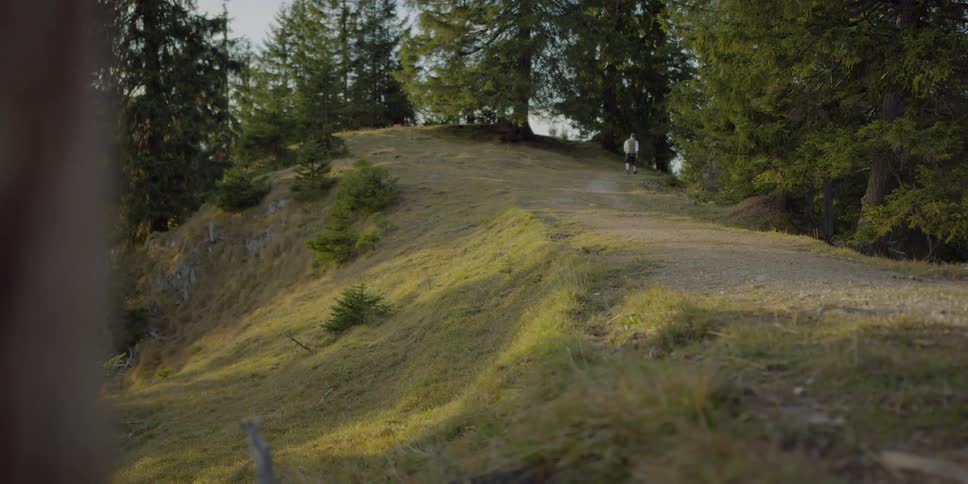 Man walks up hill toward woods