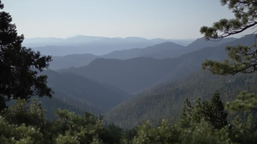Forest covered mountains and pine trees on a hazy day