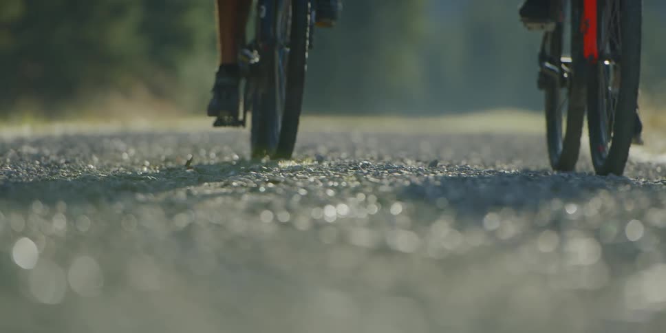 Two people on bicycles are riding on a paved path