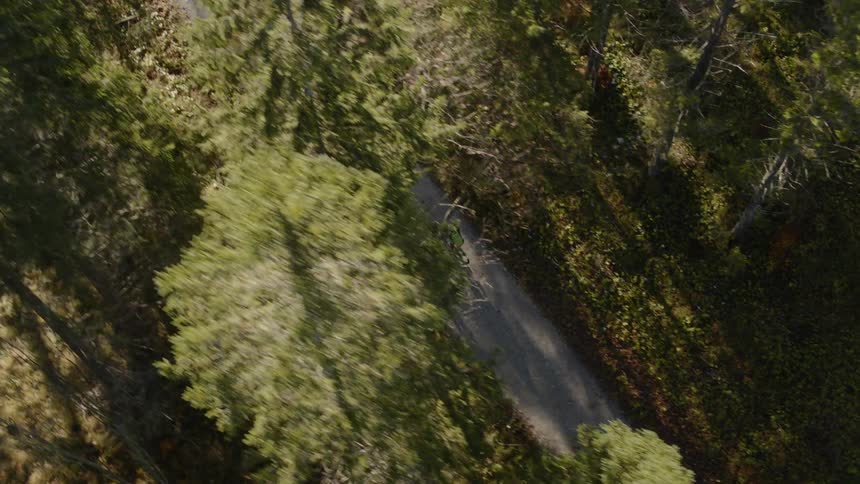 Two bicyclists are riding down a paved path in the forest