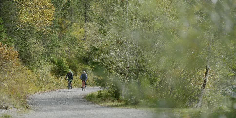 Two cyclists cycle on the forest gravel road in the daytime