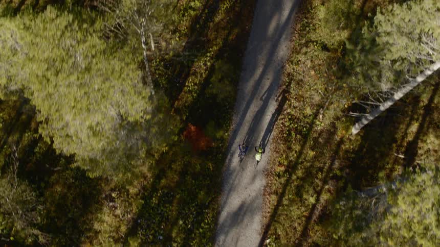 Two people ride bicycles down a path through a forest