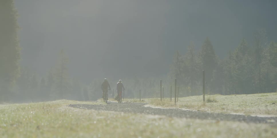Two people on bicycles ride down a road near a forest