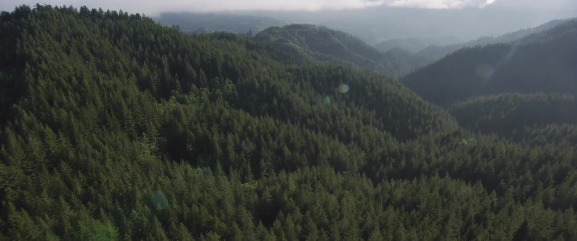 The camera flies over wooded hills