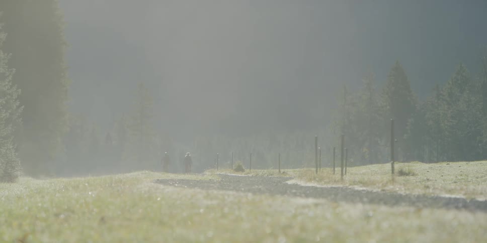 Two people travel along rode through fog