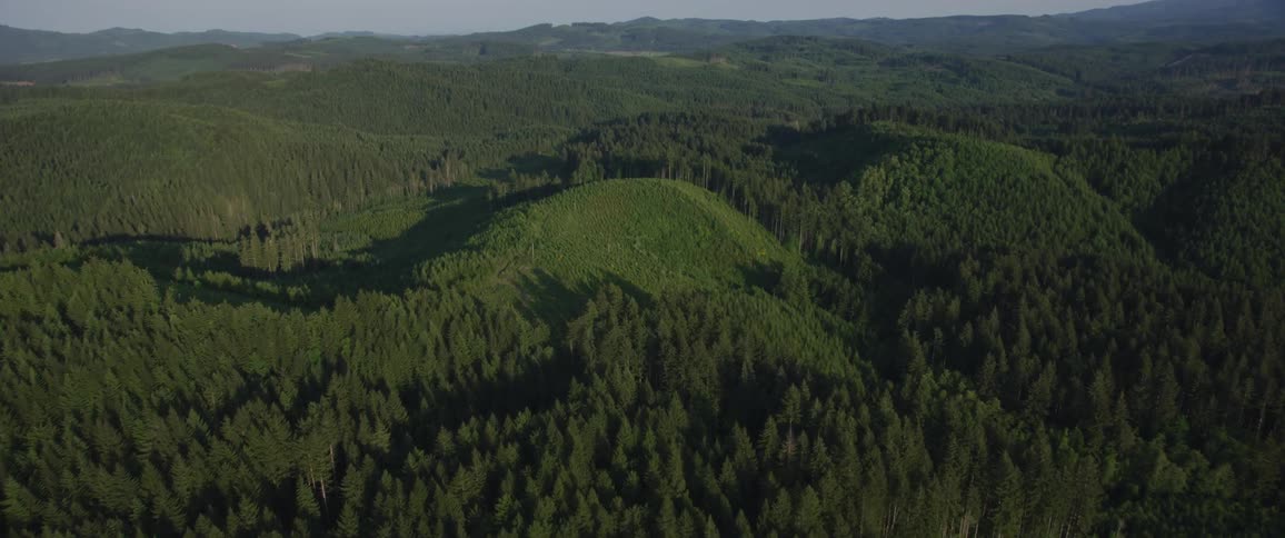 An aerial shot of a forest with hills